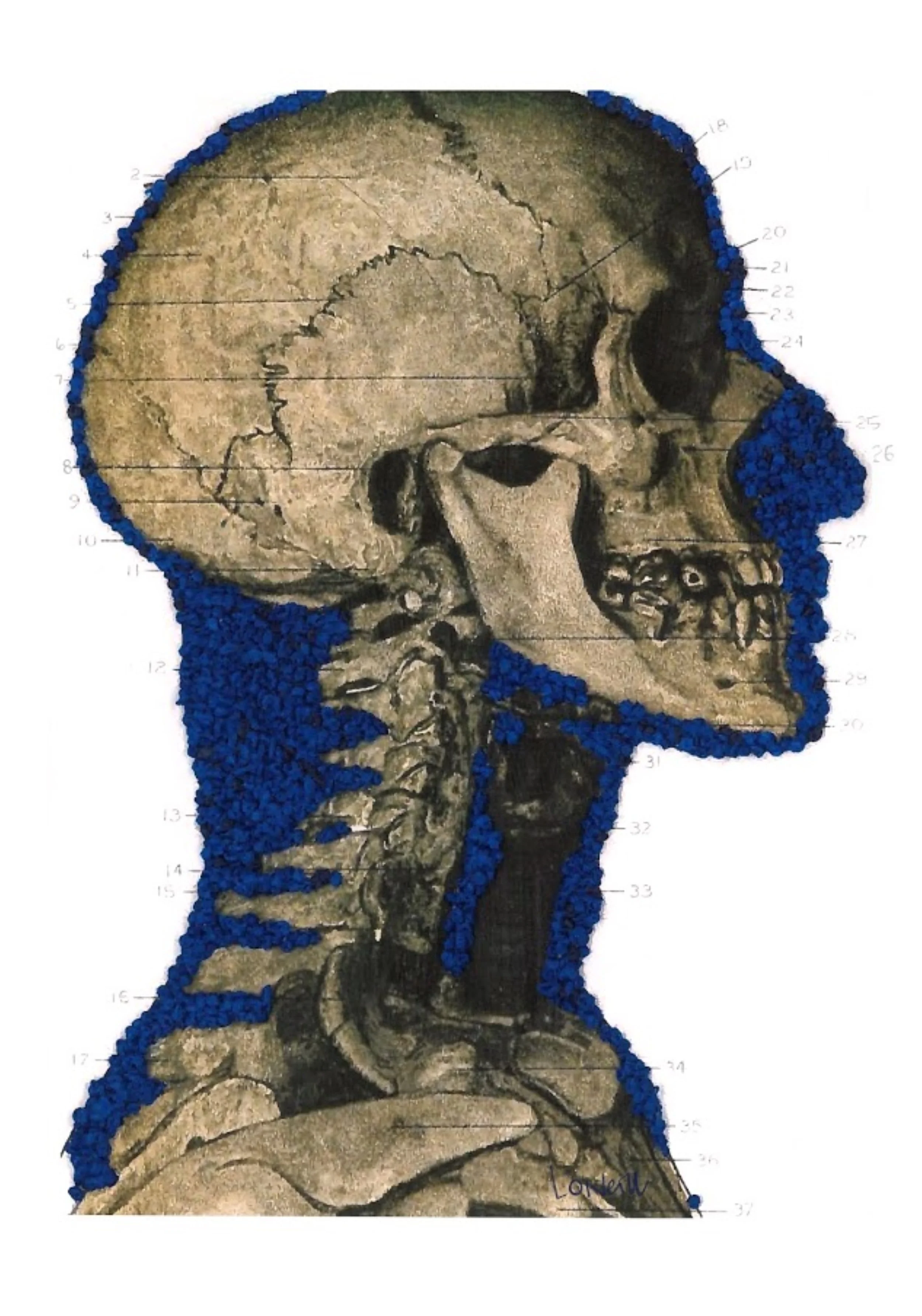 blueskulllarge.JPG