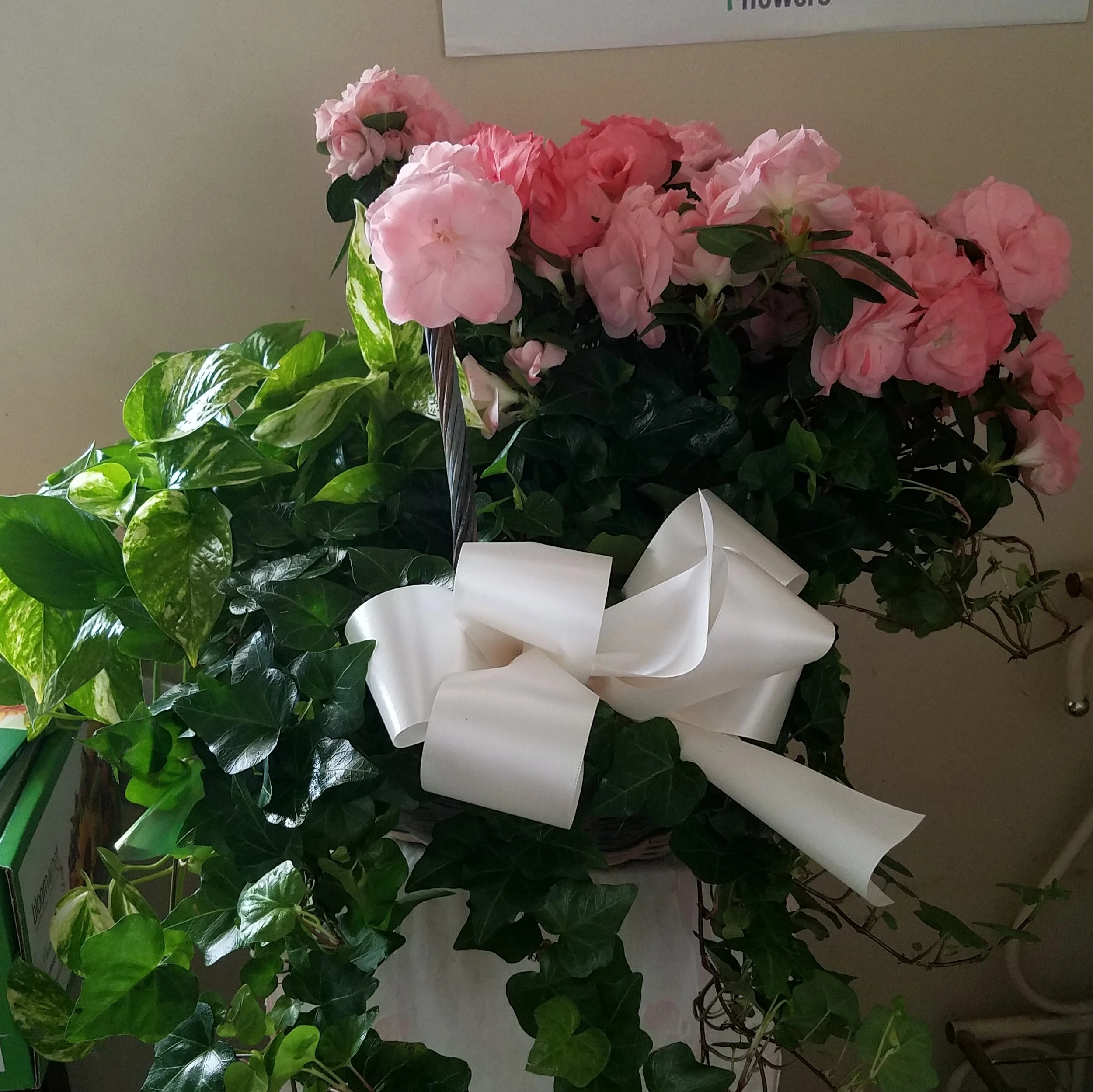 Pink and white flowers with green leaves in a bouquet.