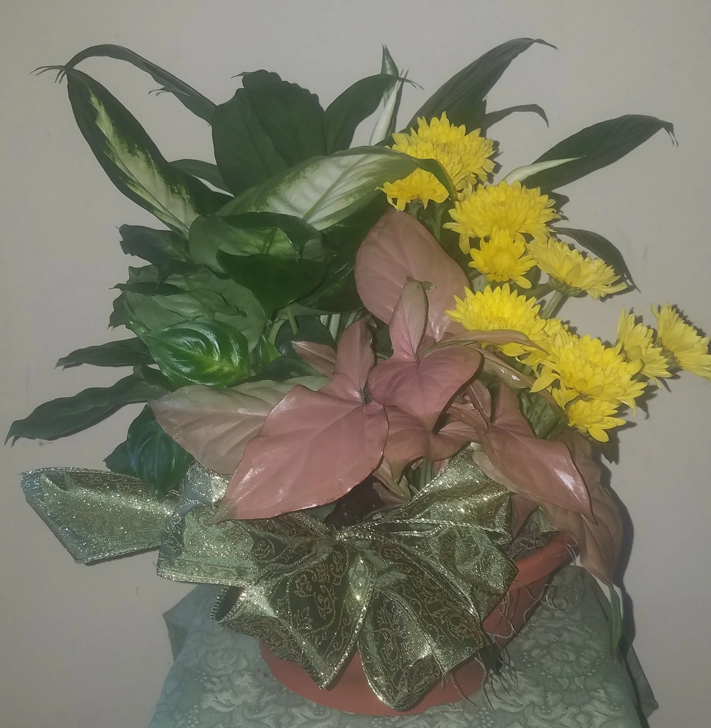 Foliage Dish Garden with Fresh Flowers