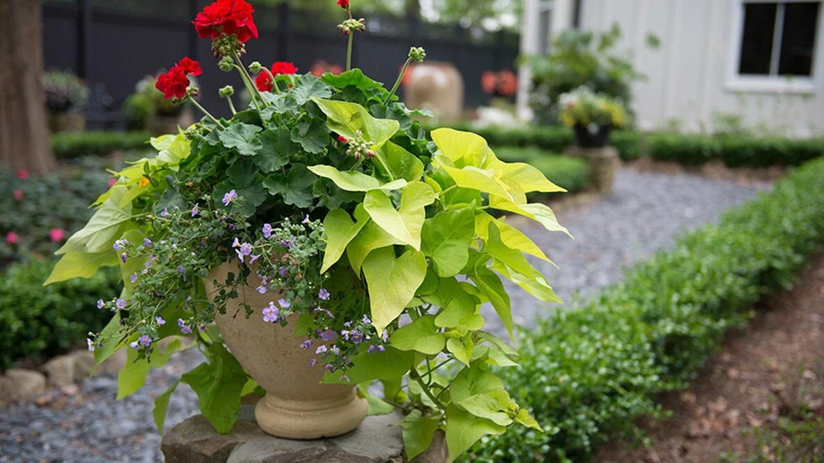 Custom Planters (Home or Business)