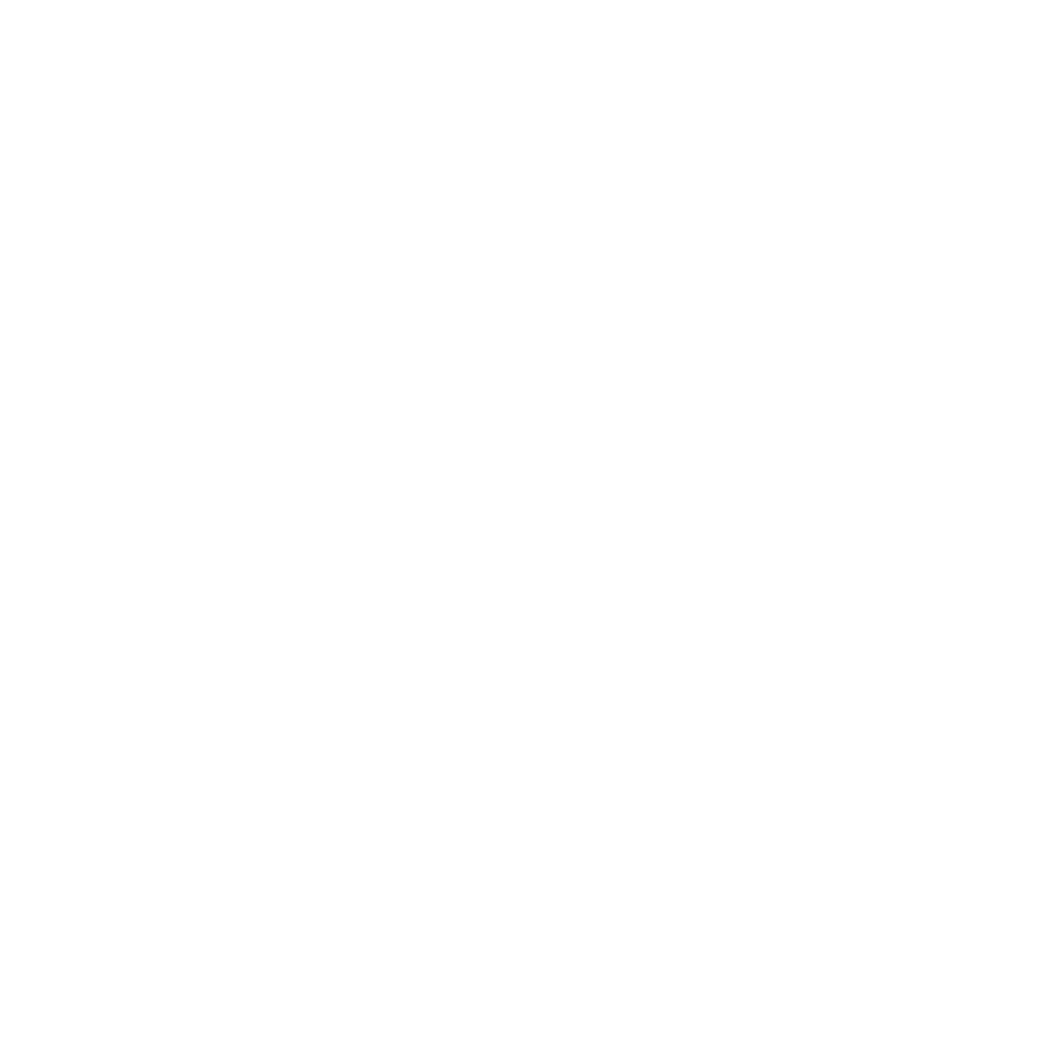 BIRDI BOX