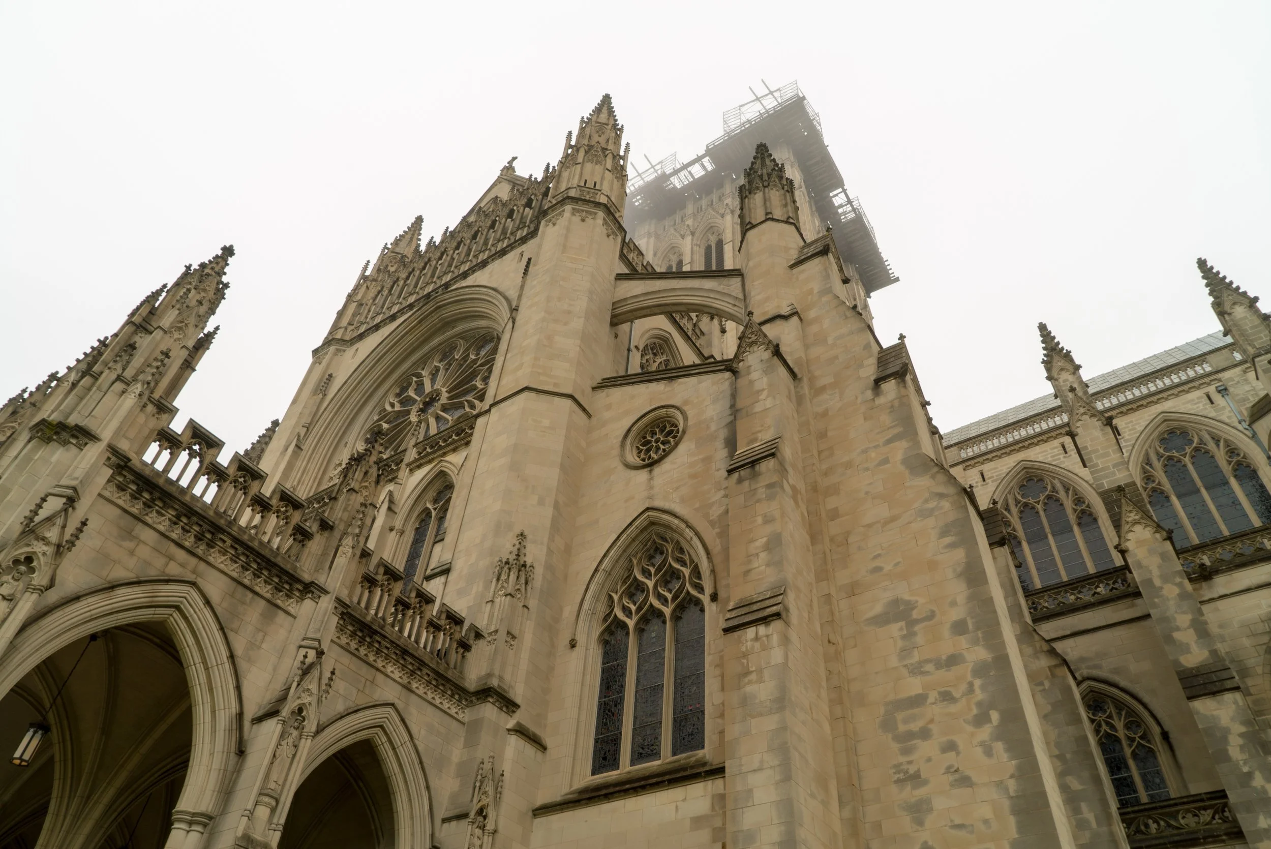 DSC04742.jpg