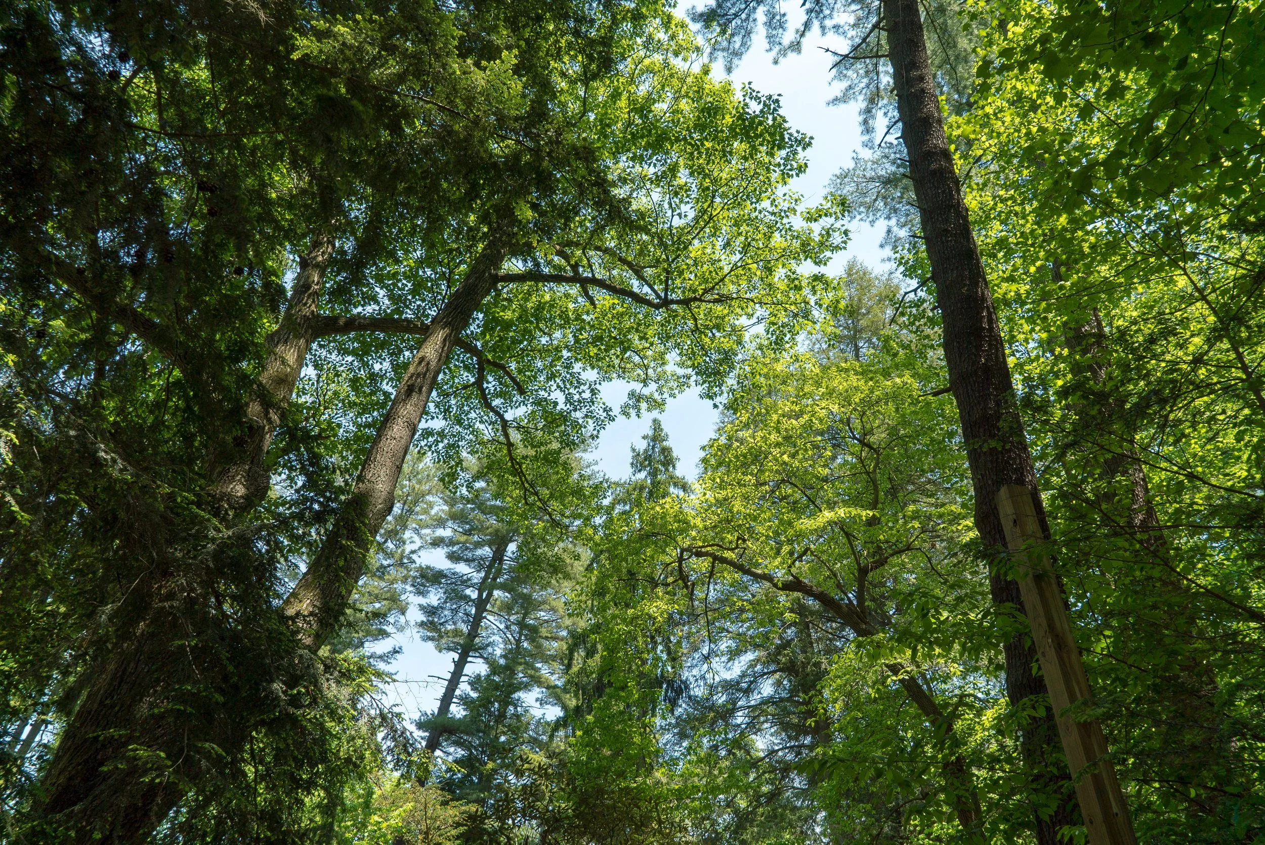 DSC04572.jpg