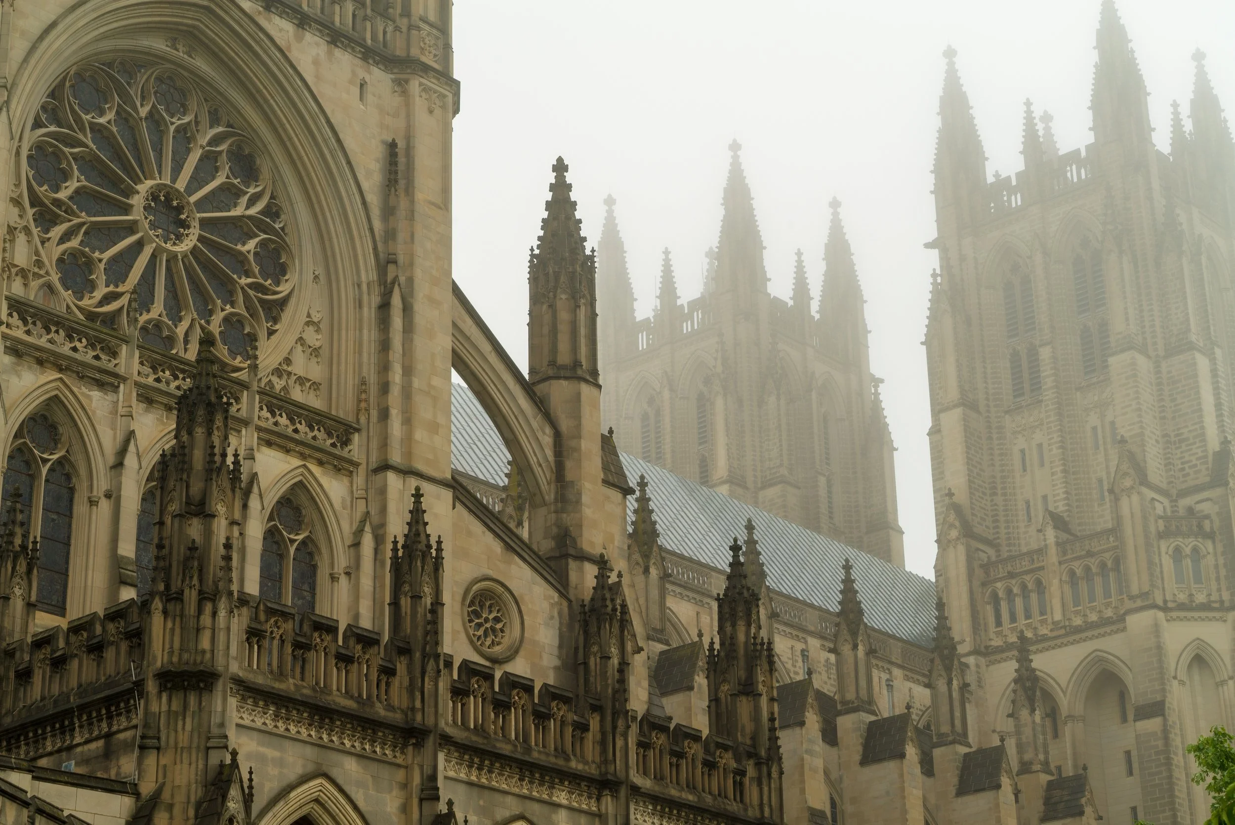DSC04719.jpg