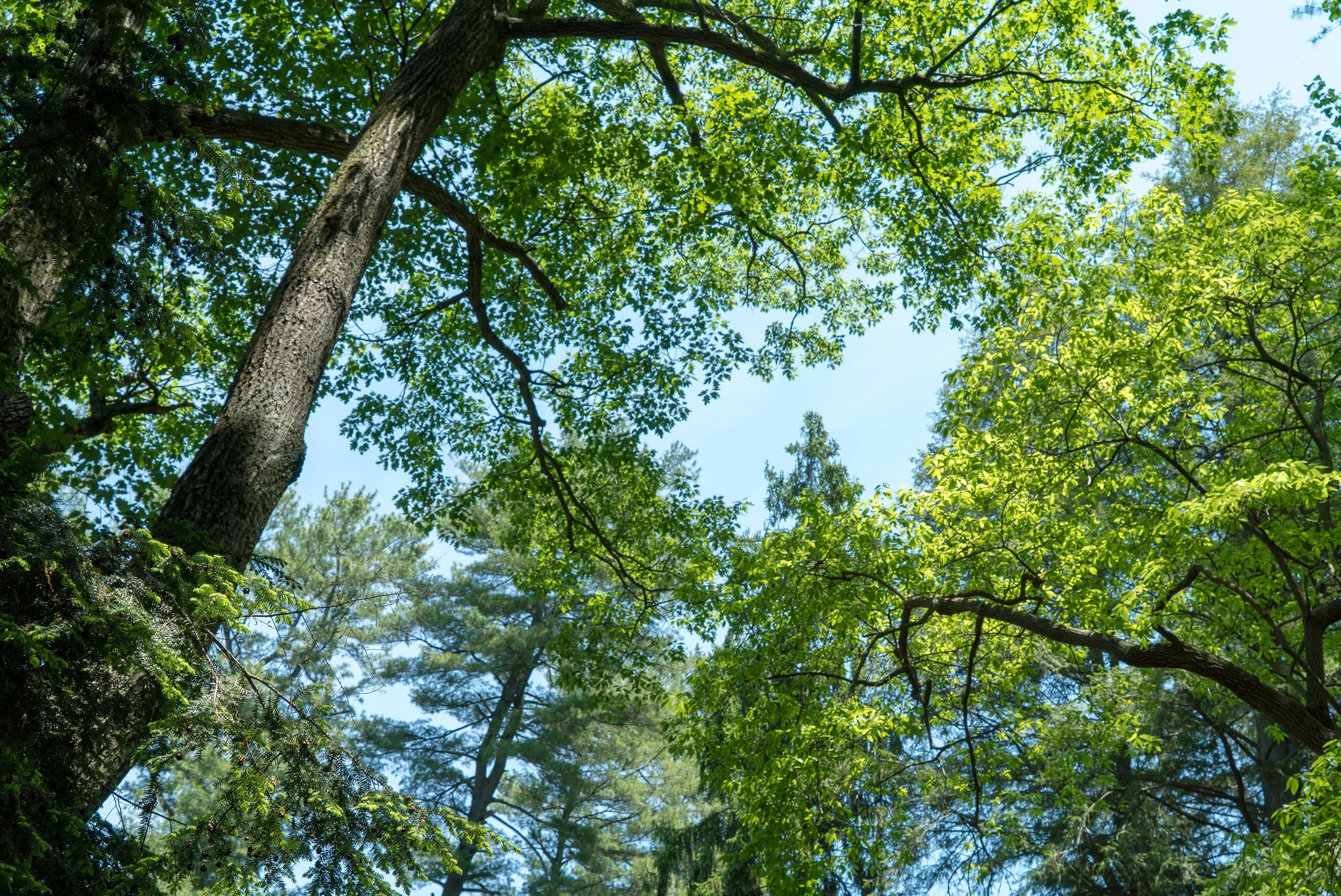 DSC04573.jpg