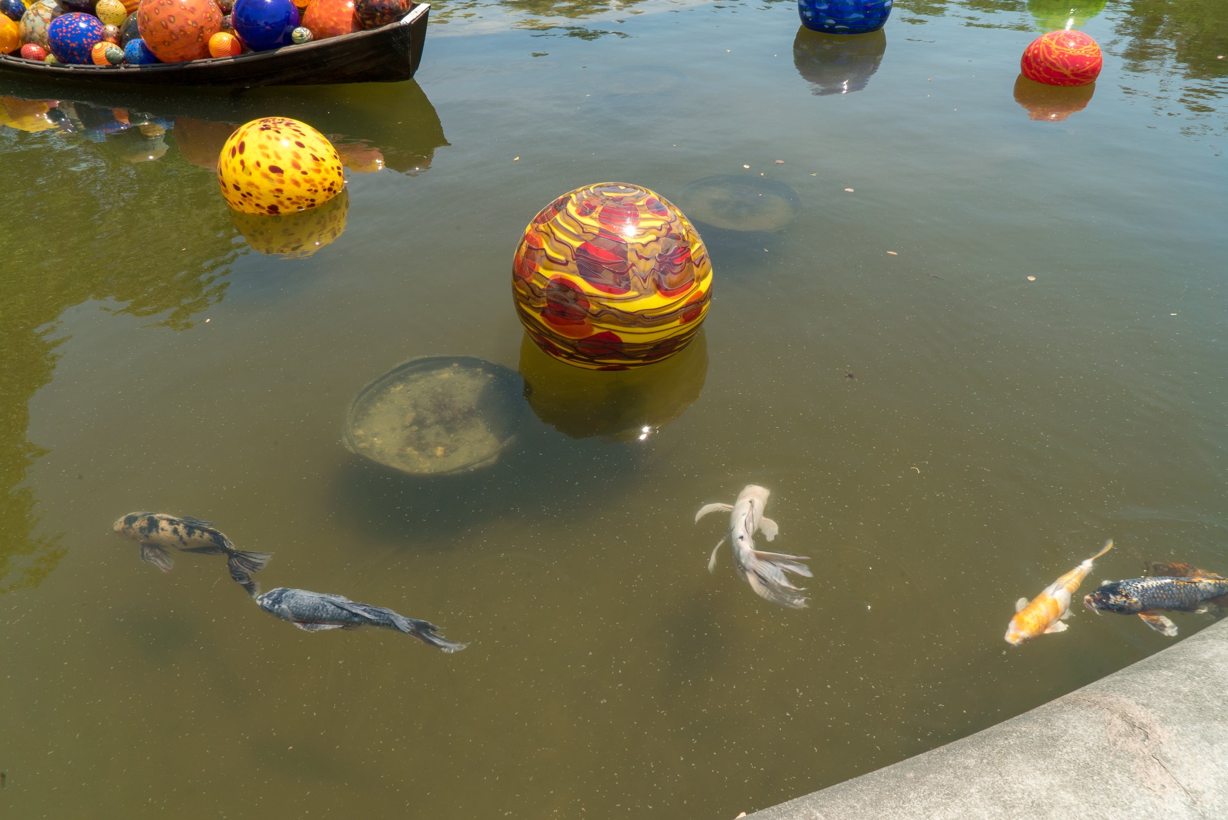 DSC04545.jpg