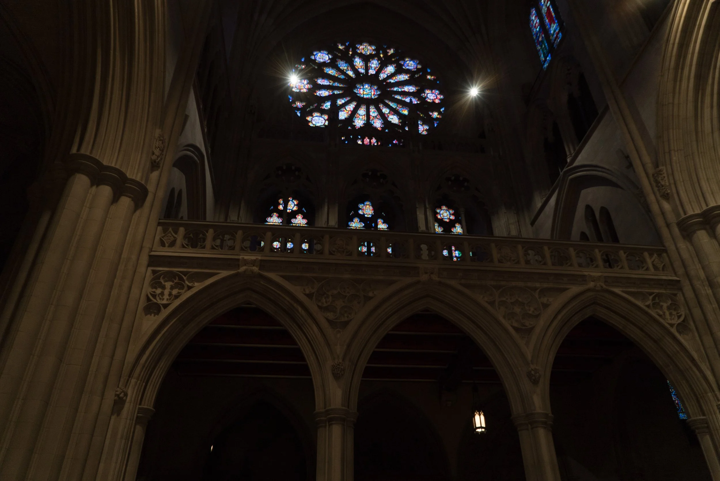 DSC04738.jpg