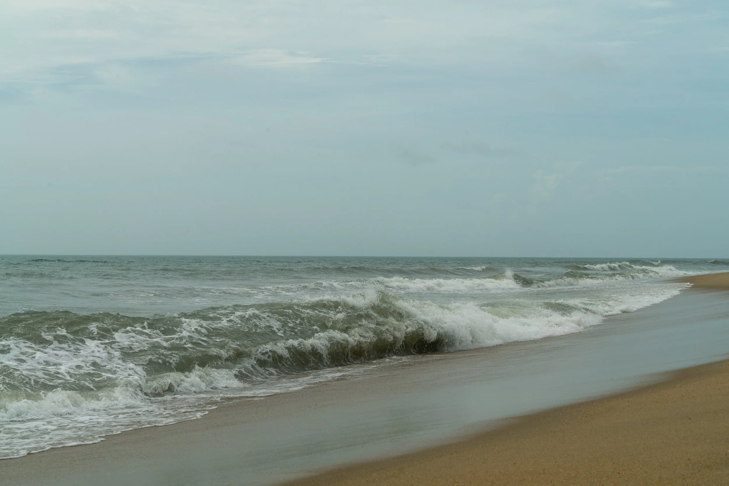 DSC04704.jpg