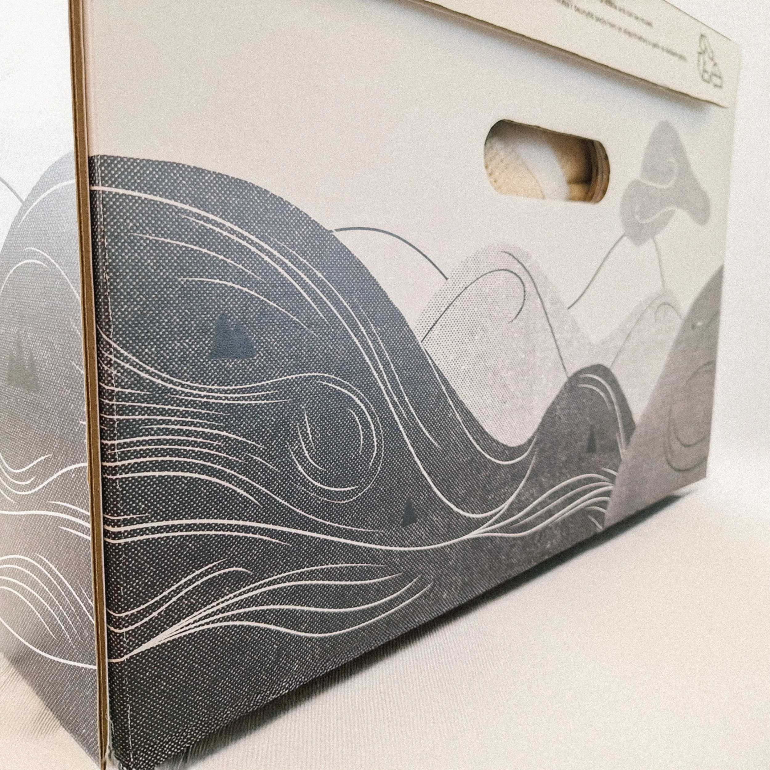 WBB_BOX IMAGE_3.jpg