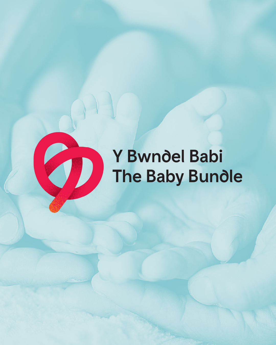 The Wales Baby Bundle