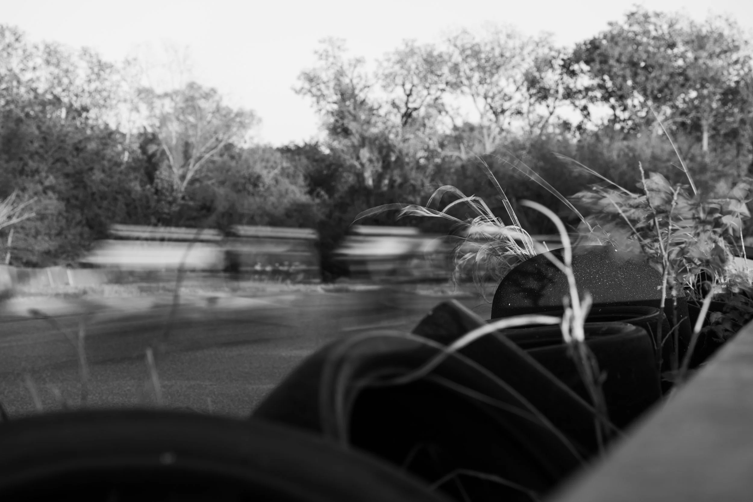 Black and white photo of a roadside scene with trees in the background, blurred vehicles passing by, and some plants or weeds in the foreground.