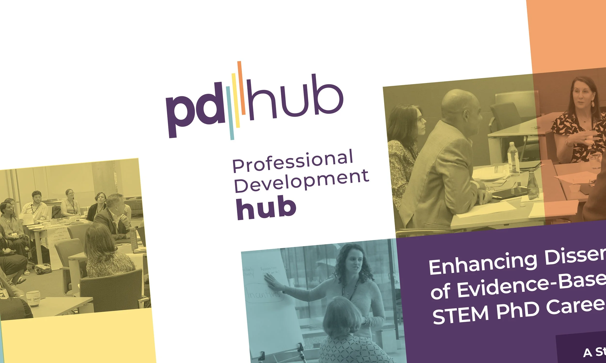Professional Development Hub