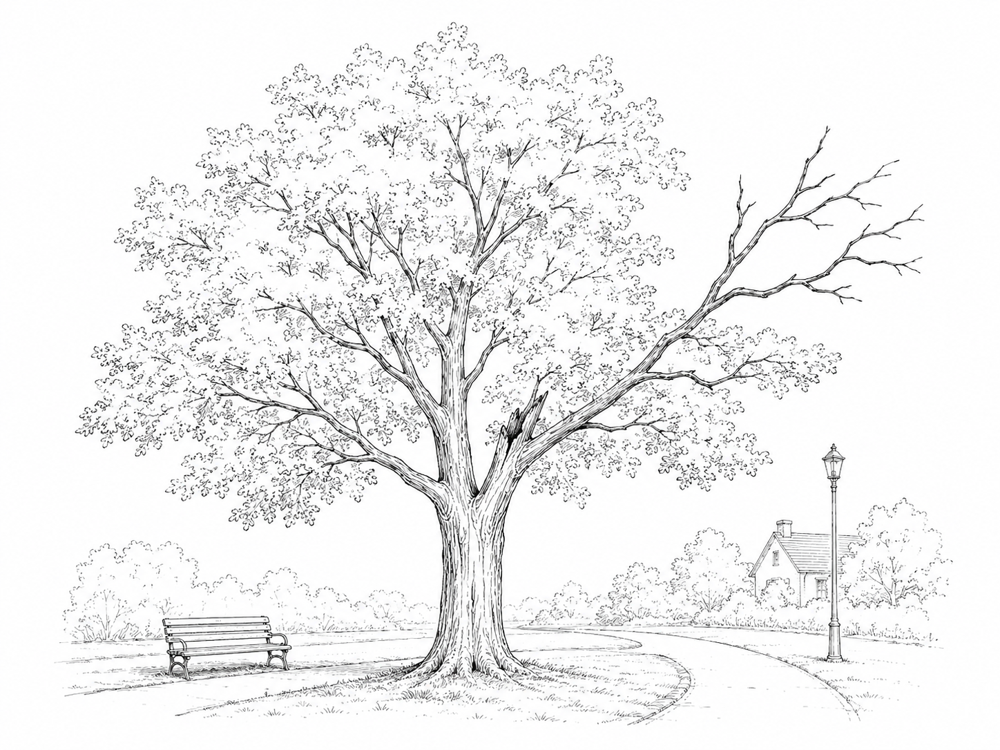 Totholz im Baum: Gefahr oder wertvoller lebensraum?