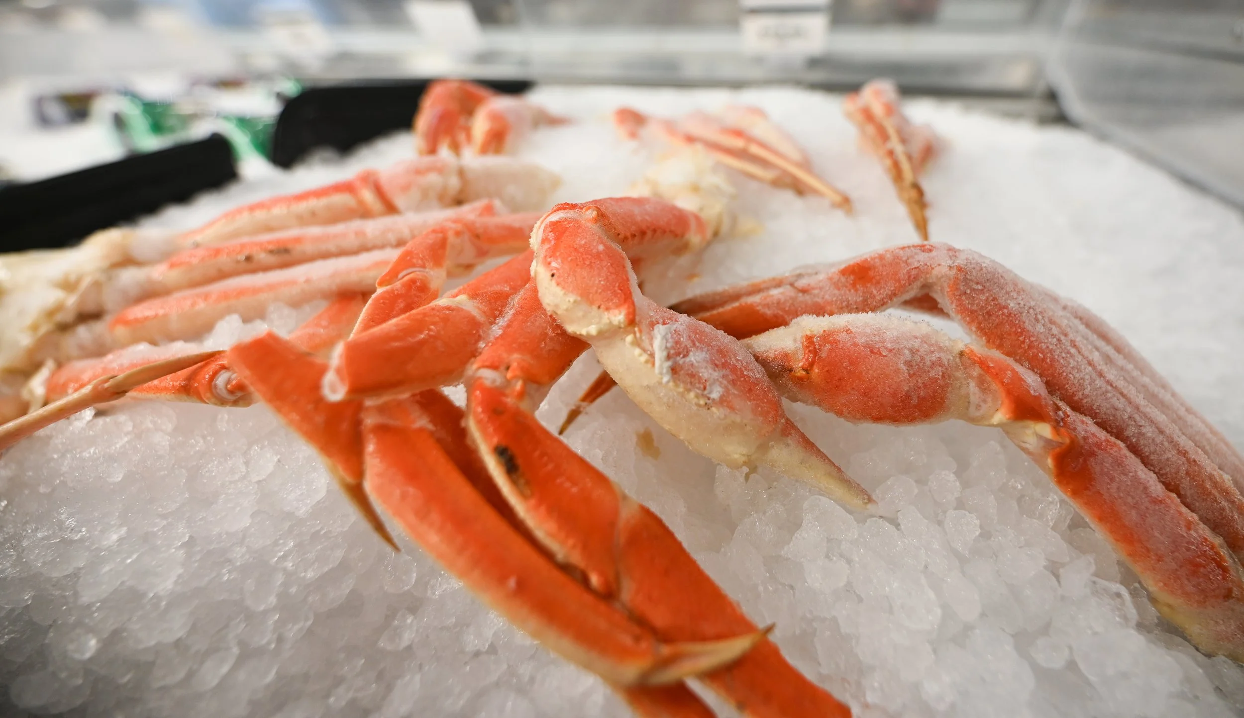 Shellfish