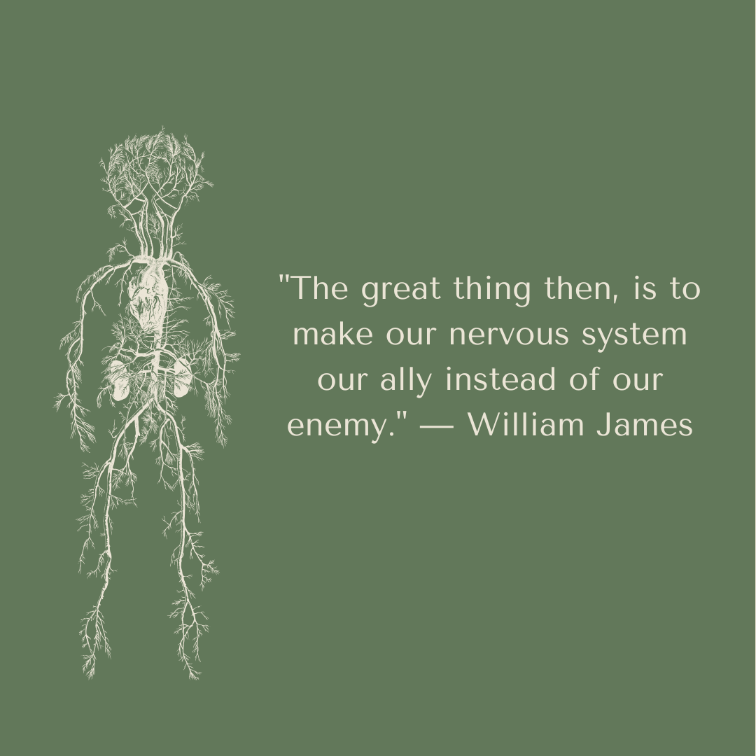 Green background with a white outline drawing of a tree and roots on the left side, and a quote by William James on the right that reads, "The great thing then, is to make our nervous system our ally instead of our enemy."