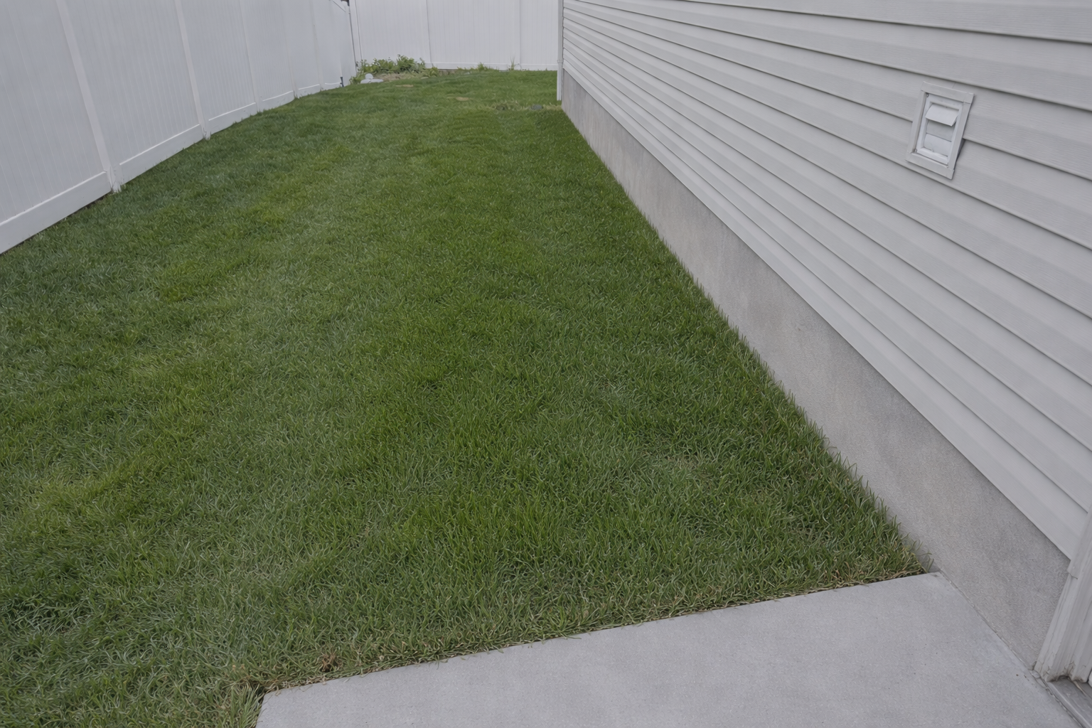 A backyard with green grass, a white vinyl fence on the left, and the siding of a house on the right. There is a small patch of plants at the far end of the yard.