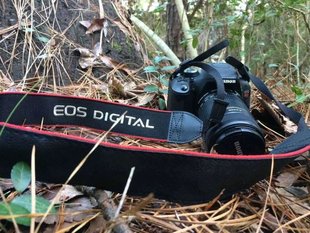 camera.jpg