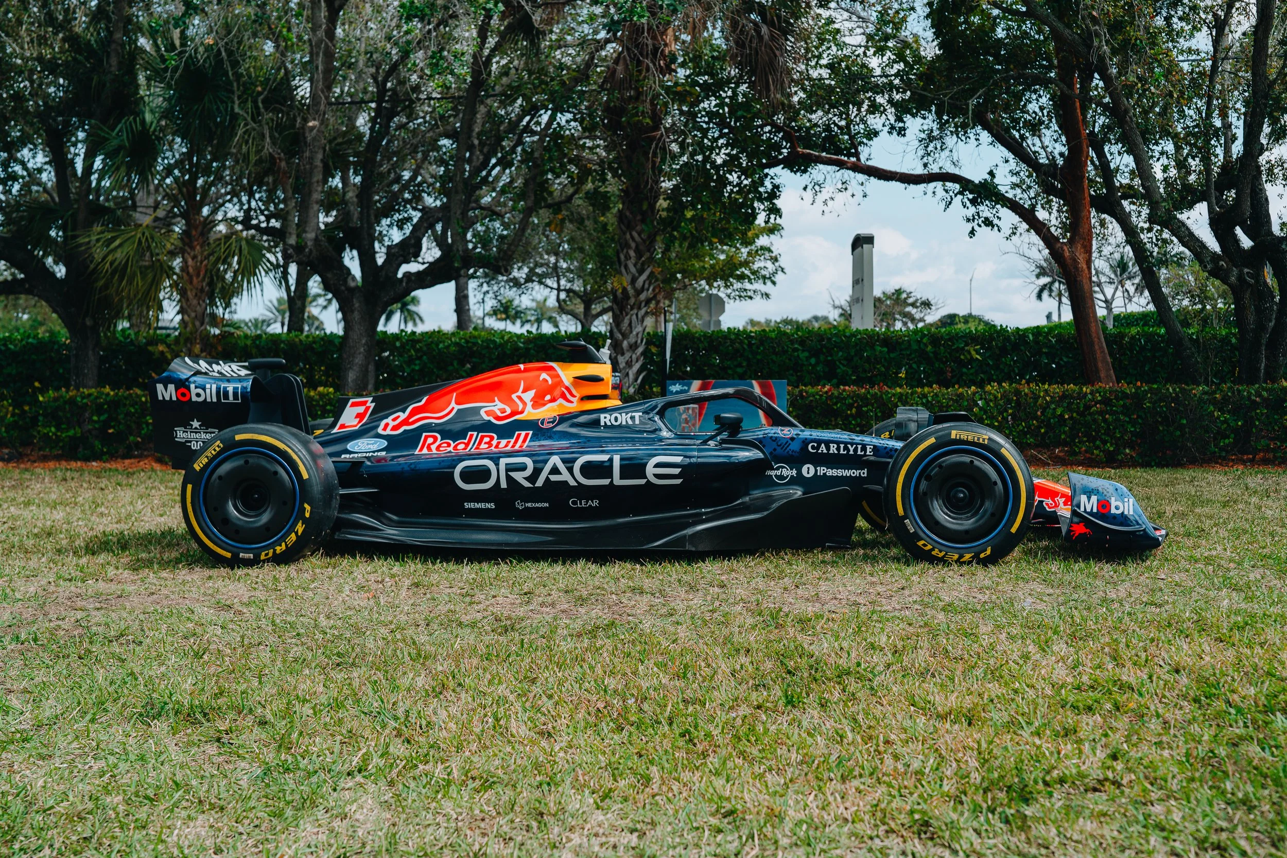 Formula 1 race car on grass with trees and sky in background.