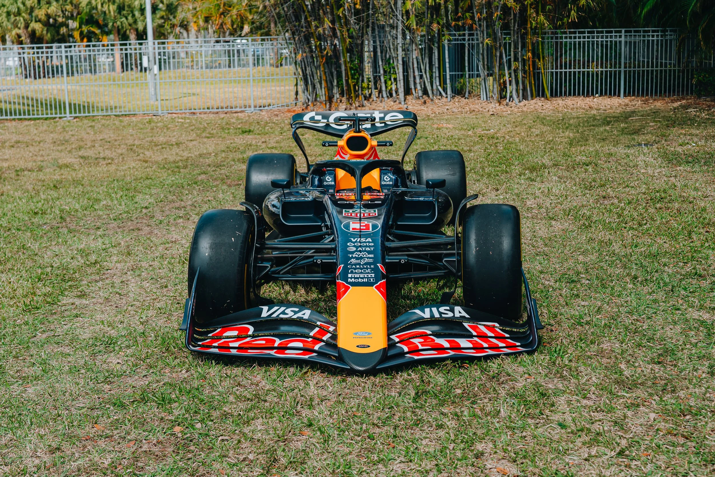 Front view of a Red Bull Racing Formula 1 car on grass with a background of trees and a metal fence.