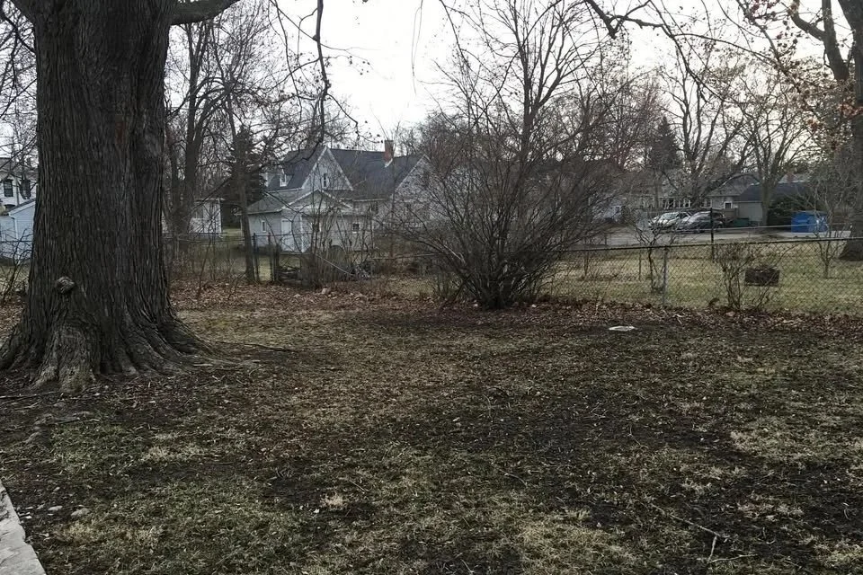 A backyard with a large tree and a burned ground area, residential houses and a chain-link fence in the background.