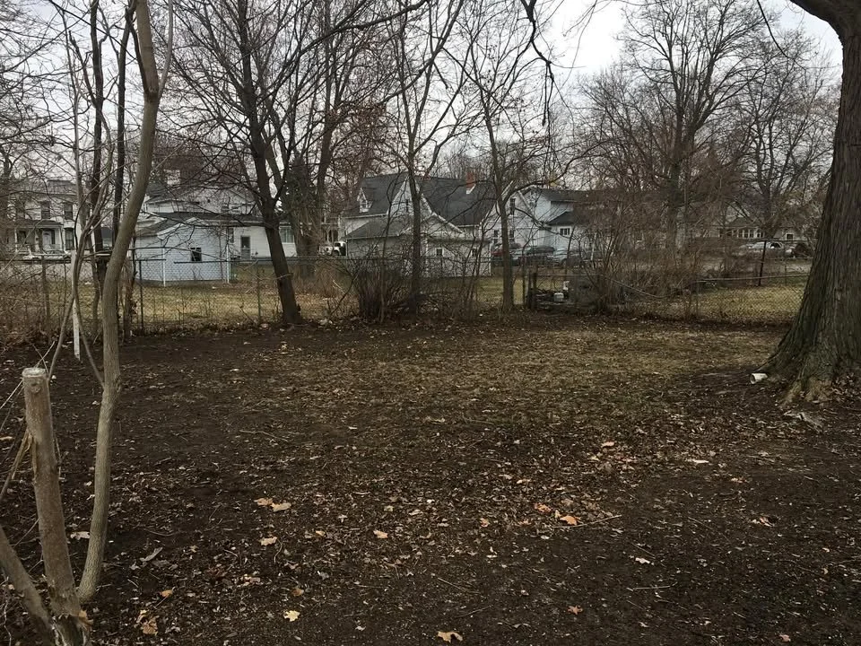 A backyard with bare trees, dark soil, and fallen leaves, with multiple houses in the background under a cloudy sky.
