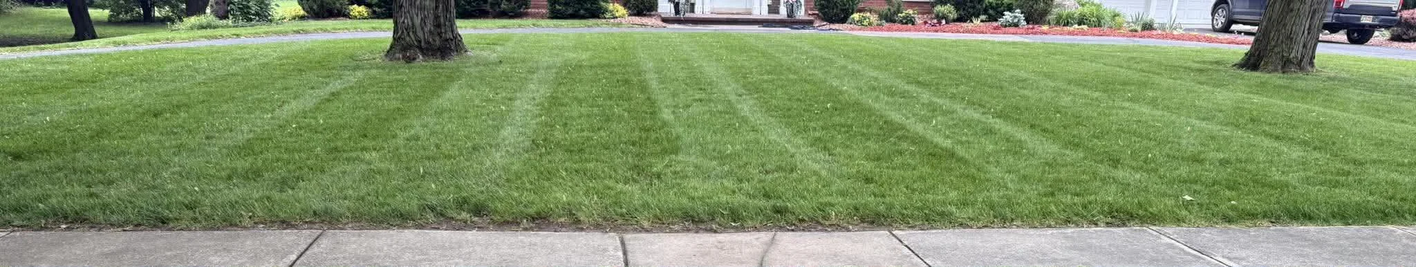 A well-maintained, lush green lawn with parallel mowing lines, surrounded by a concrete sidewalk, tall trees, and some structures and vehicles in the background.