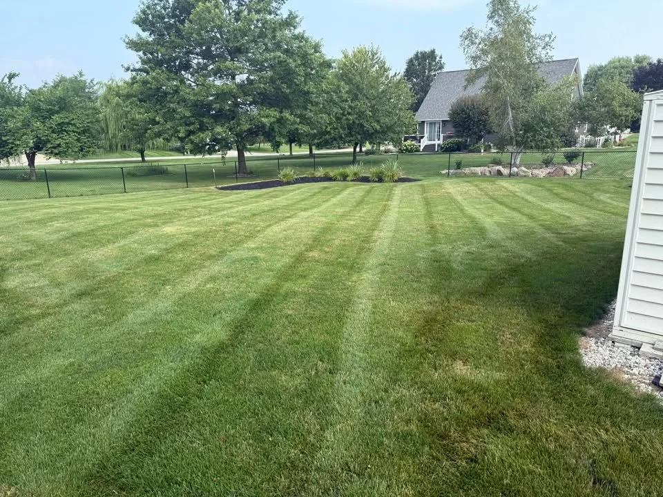 Well-maintained green lawn with neat striped grass, trees, shrubs, a house with a porch, and a fence in the background.
