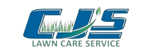 Logo of AWAS Family Care Service with blue and green colors.