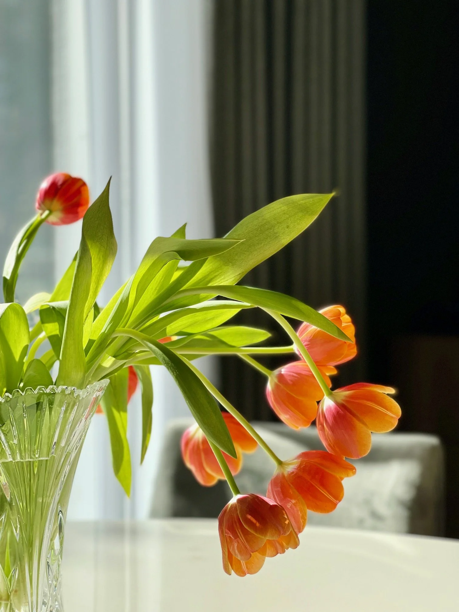 Planter