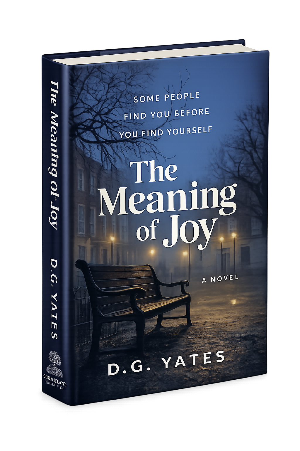 The Meaning of Joy novel by D.G. Yates, a literary coming-of-age story about identity, relationships, and self-discovery