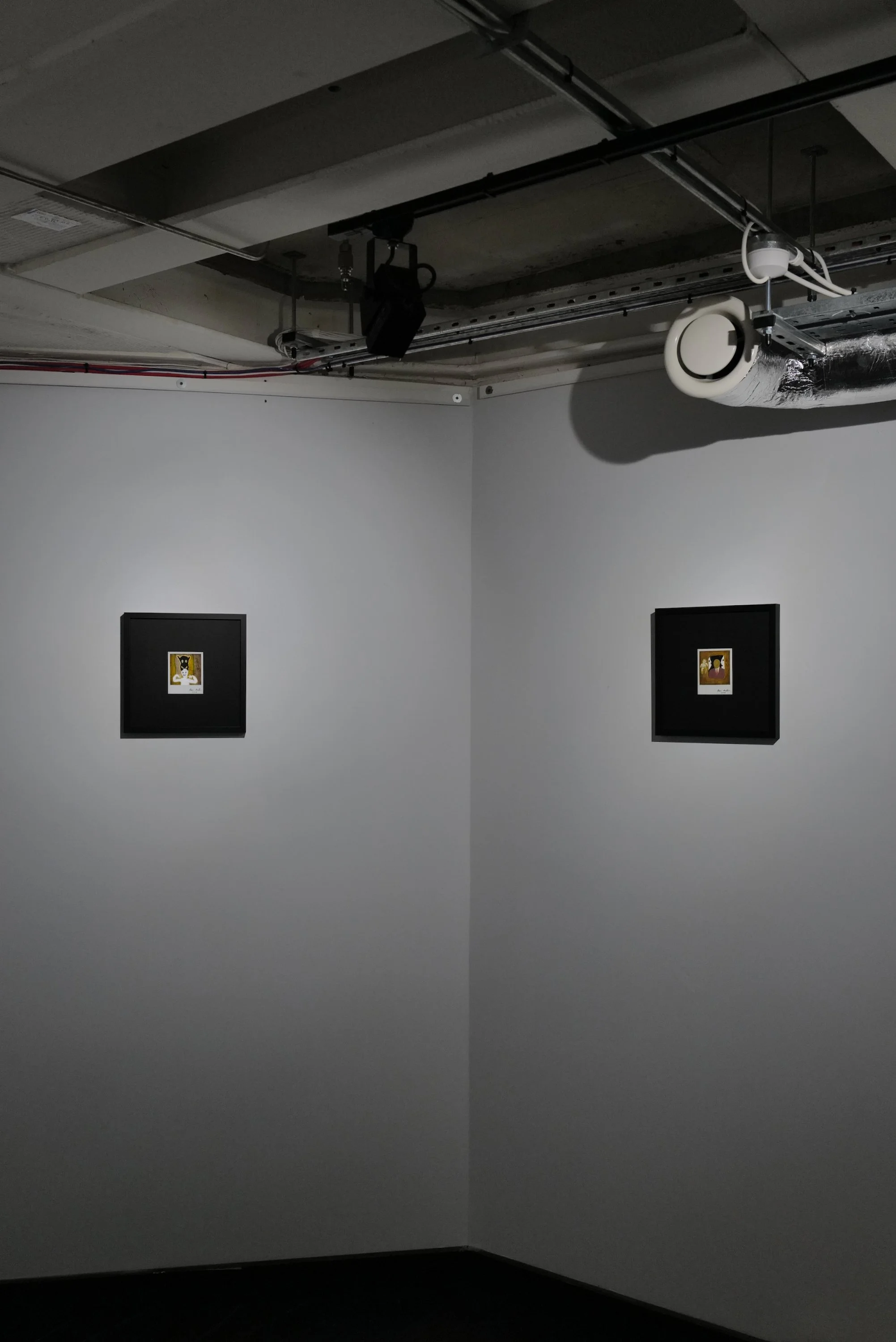 Antidote installation photos - 6 (1).jpeg