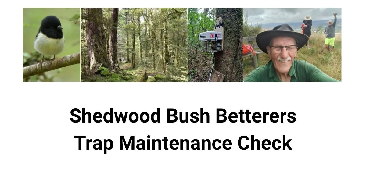 Shedwood Bush Trap Maintenance Check