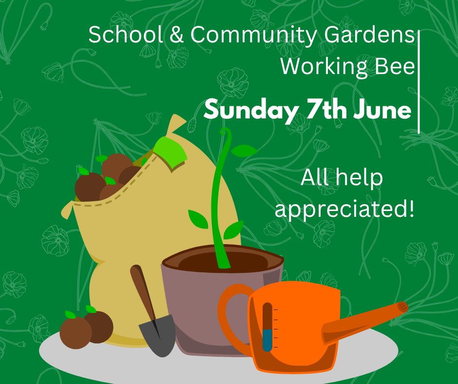 Tapawera School & Community Working Bee