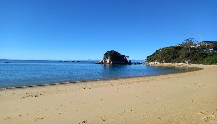 Picture3.jpg