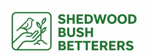 Belonging Matters: Finding Wellbeing in Shedwood Bush