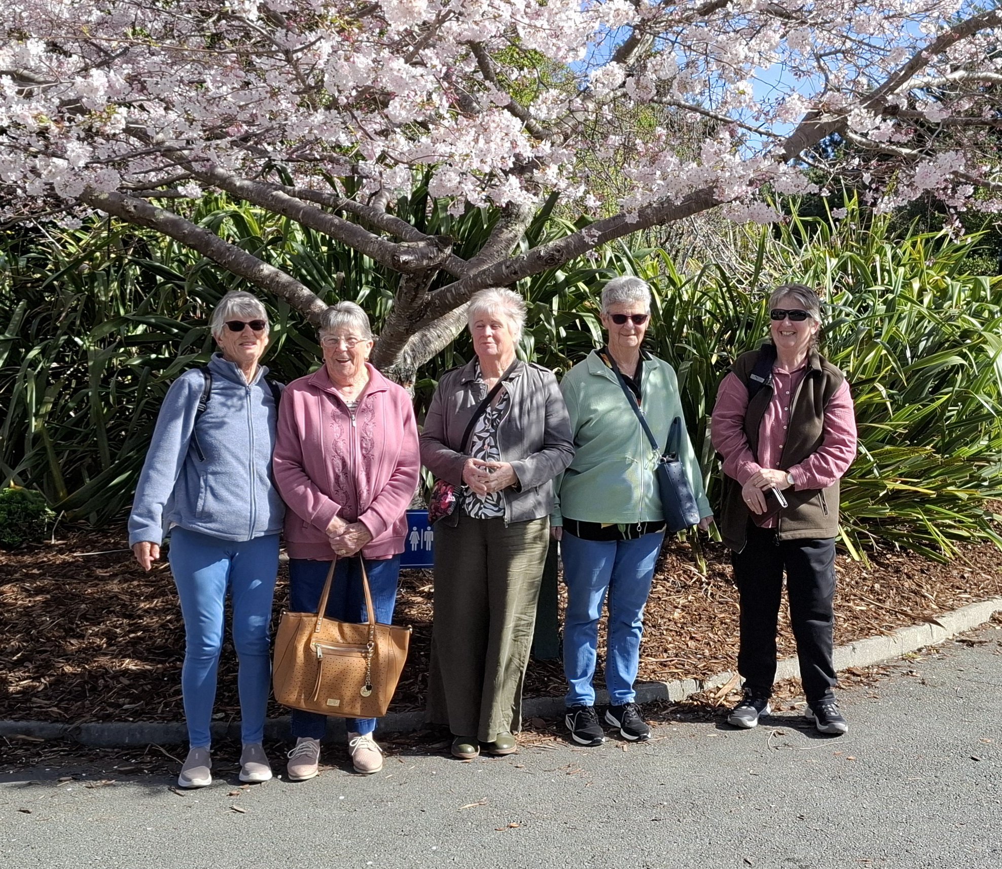Getting Out and About – A Day of New Adventures!