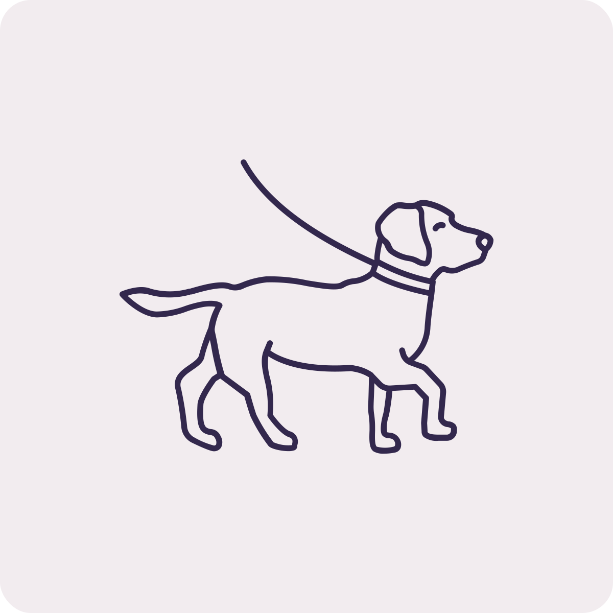 Dog Walking