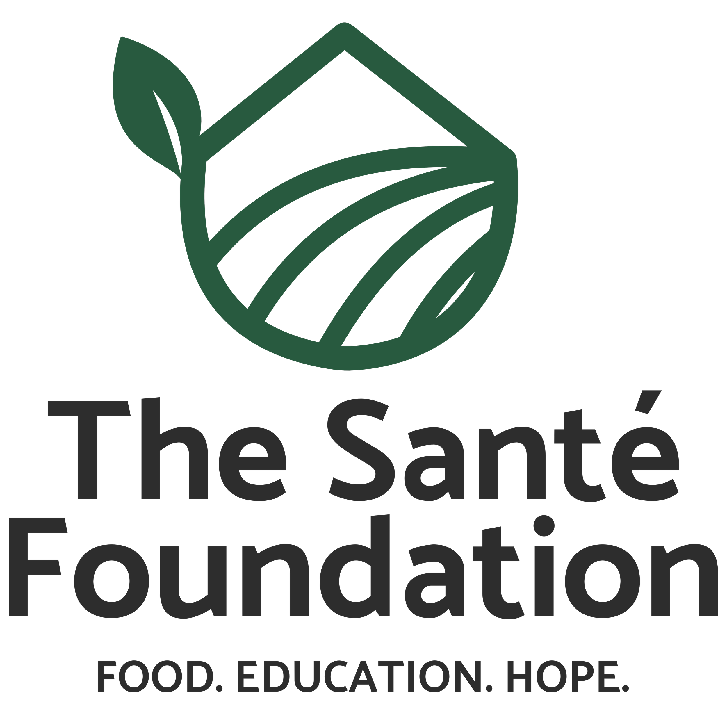 Logo for the Sante Foundation featuring a house with a leaf on the roof and striped pattern on the house, with the words "The Salt Foundation" and the website "FOOD.EDUCATION.HOPE" beneath.