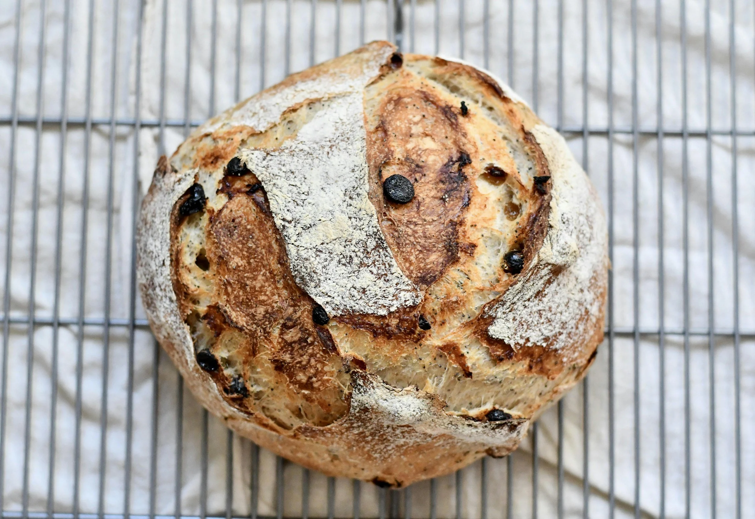 Kalamata Rosemary Sourdough