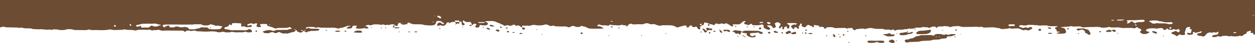 A wide horizontal brown brushstroke on a white background.
