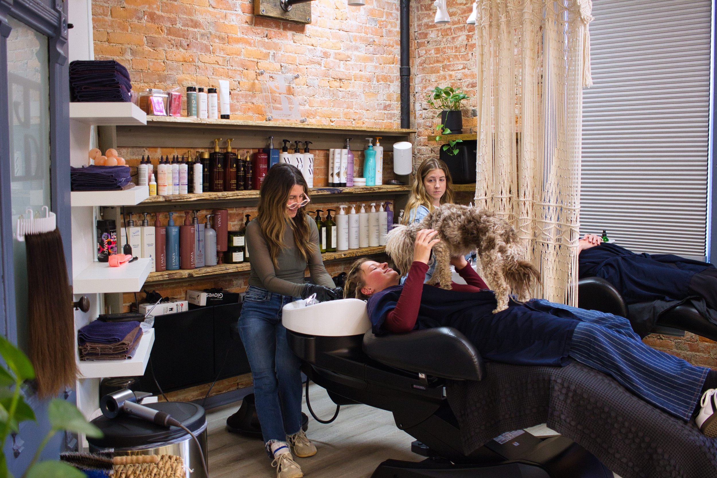 A group of people at a hair salon. One person is lying on a salon chair, receiving a haircut or hair treatment, while another person is standing, grooming or styling their hair. The salon has exposed brick walls with shelves of hair products and towels, and there is a person in the background with a dog on their lap.