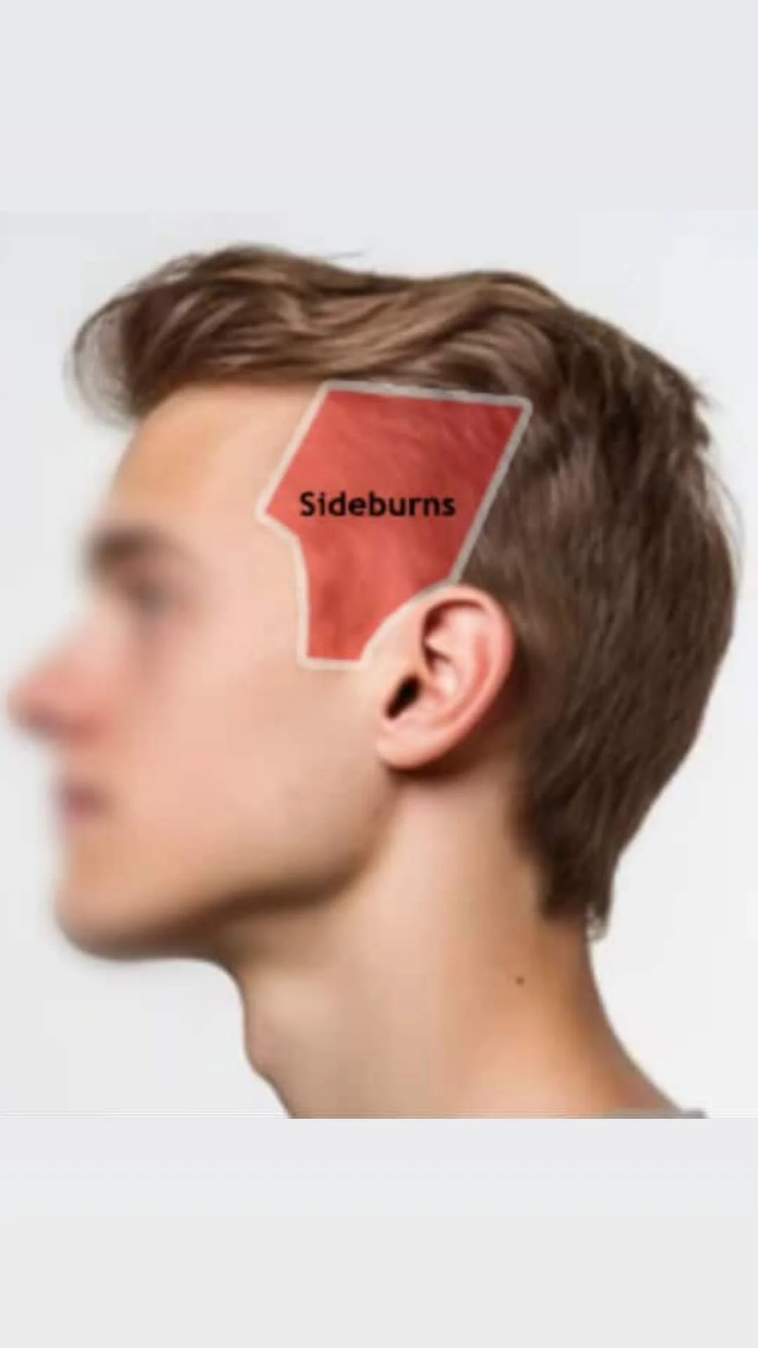 A side profile of a person with a medical diagram on the head highlighting the sideburns area for MoriTint hair loss treatment for those with hair loss and thinning hair by Mori By Nina.