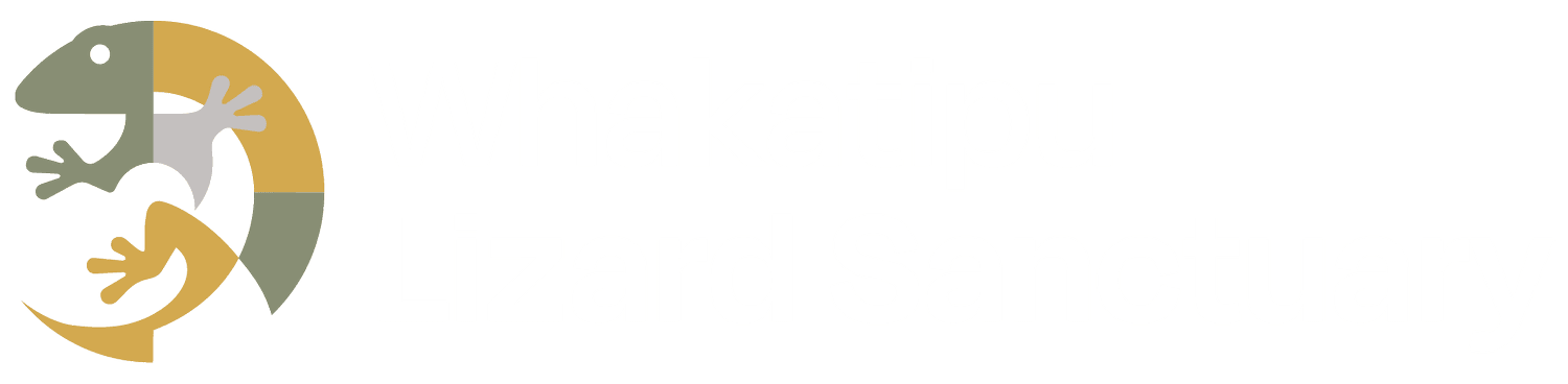 Your Site Title