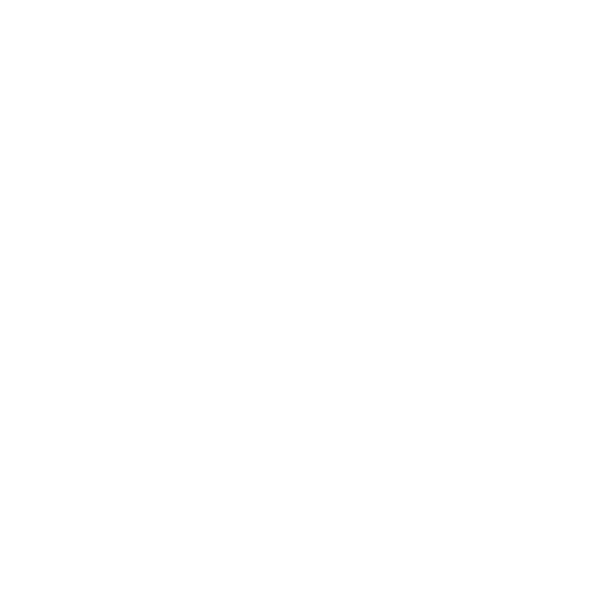 The Repair Movement