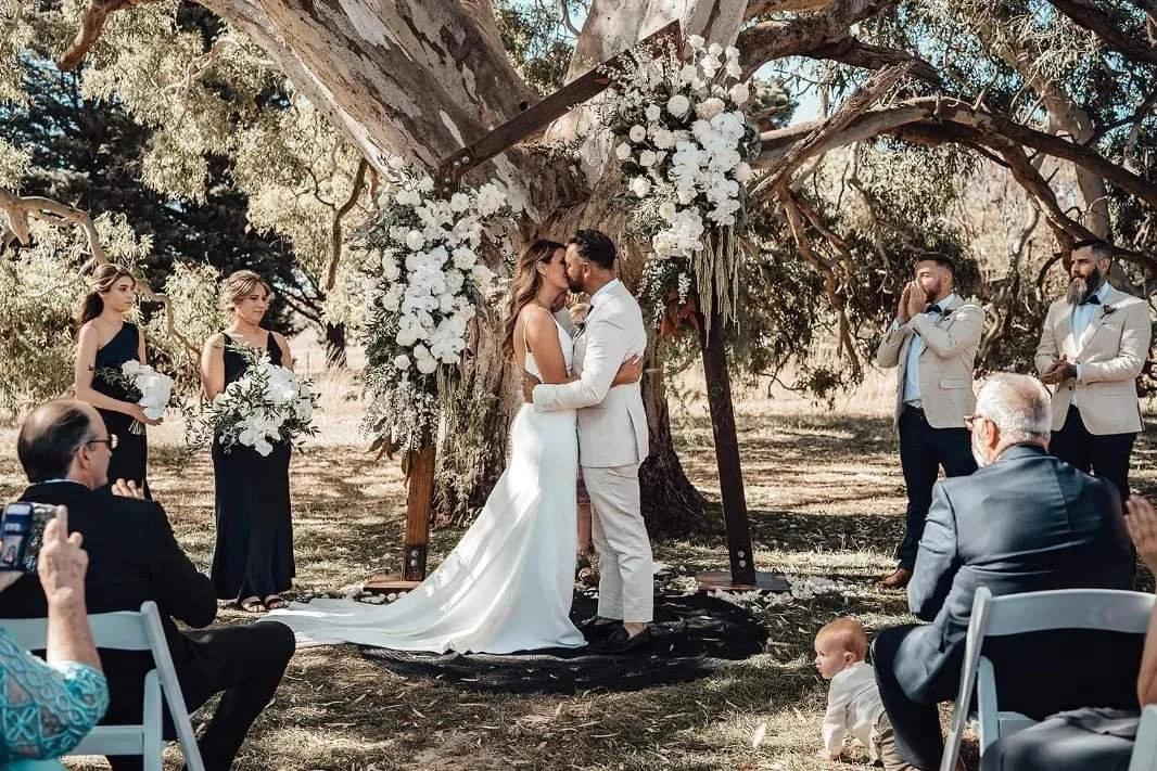 A couple is kissing during their wedding ceremony outdoors under a large tree with wooden arch decorated with white flowers, surrounded by bridesmaids, groomsmen, and seated guests.