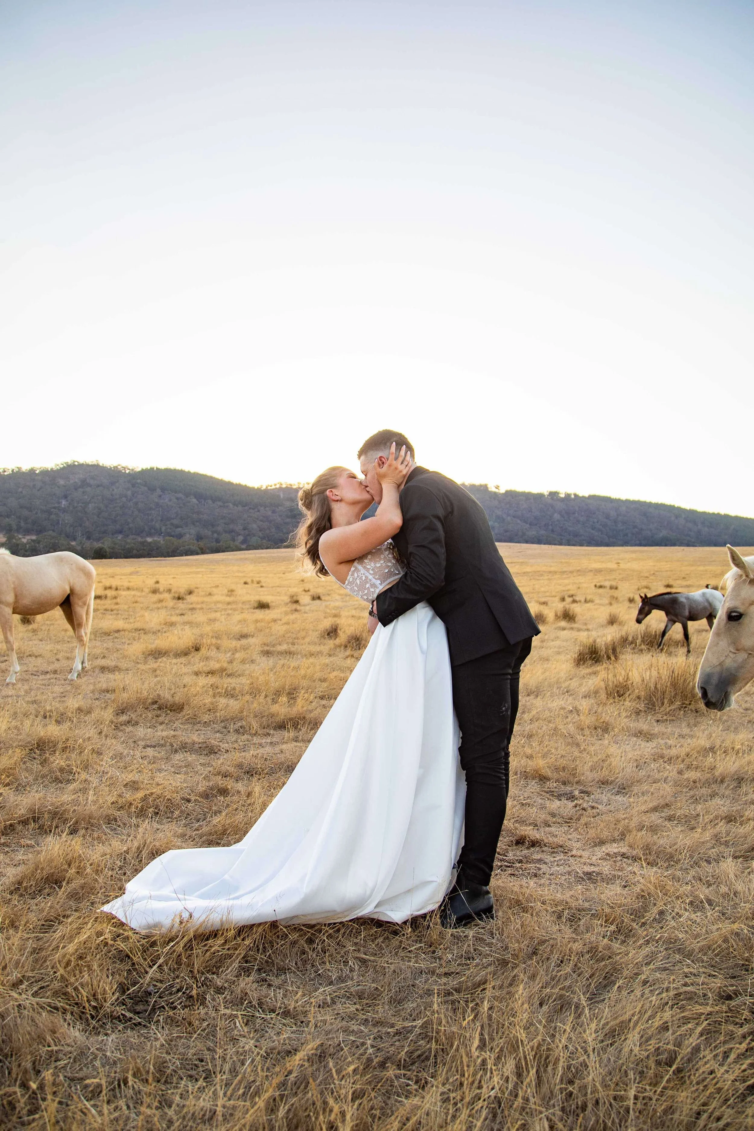 Bride in a bespoke made-to-measure wedding top and groom embracing and sharing a kiss in a field with horses, with sunset hills in the background, after expert bridal alterations in Melbourne.
