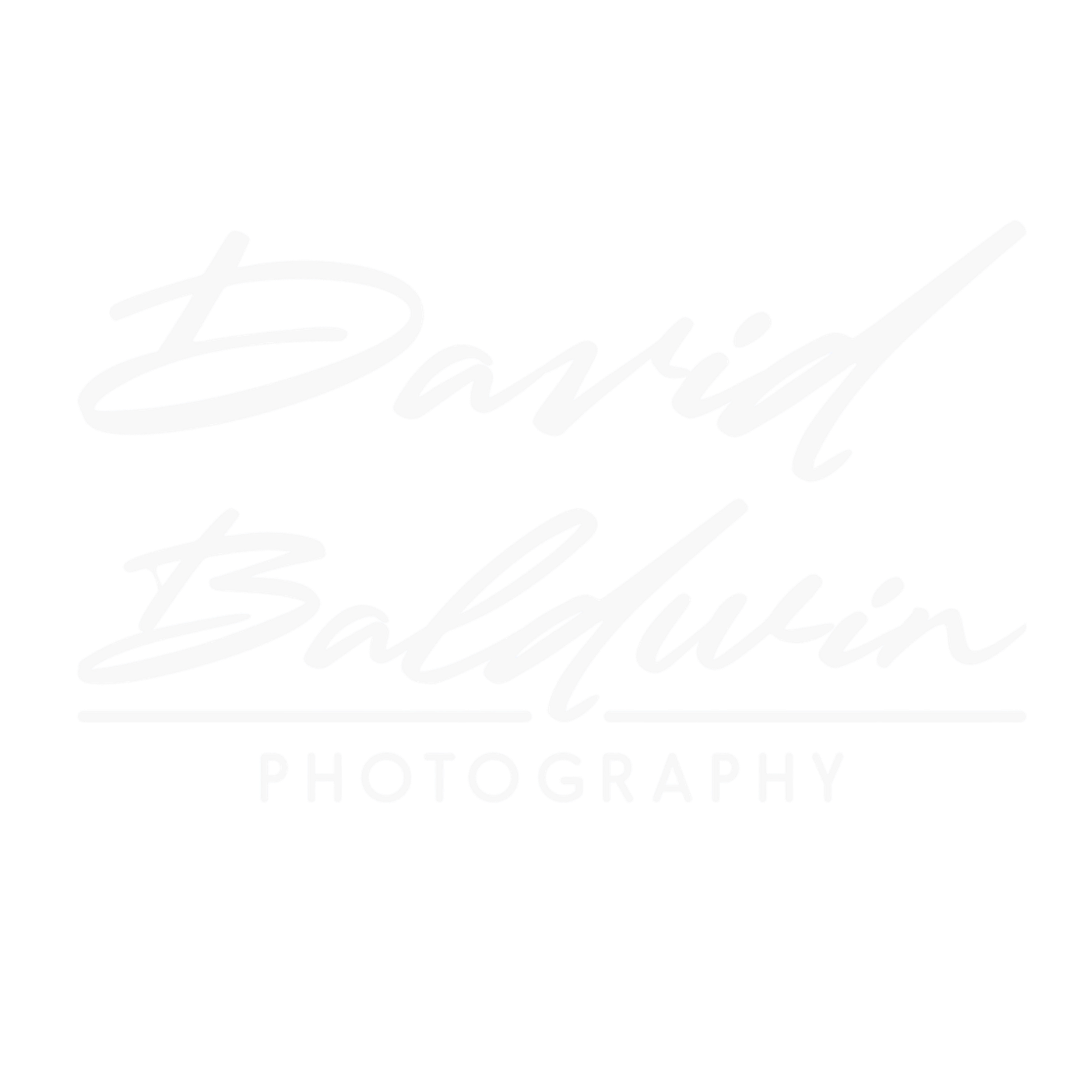 DAVID BALDWIN PHOTOGRAPHY