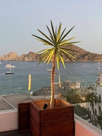 You've Been to Cabo. You Haven't Seen Los Cabos.