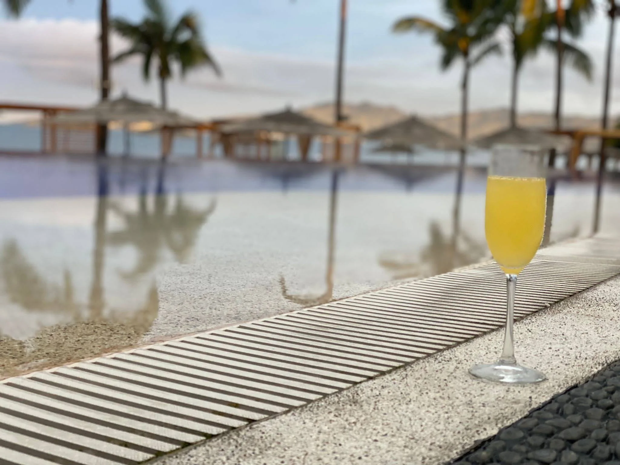 Tropical resort pool with palm trees and a cocktail, representing cruise excursion and drink package deals