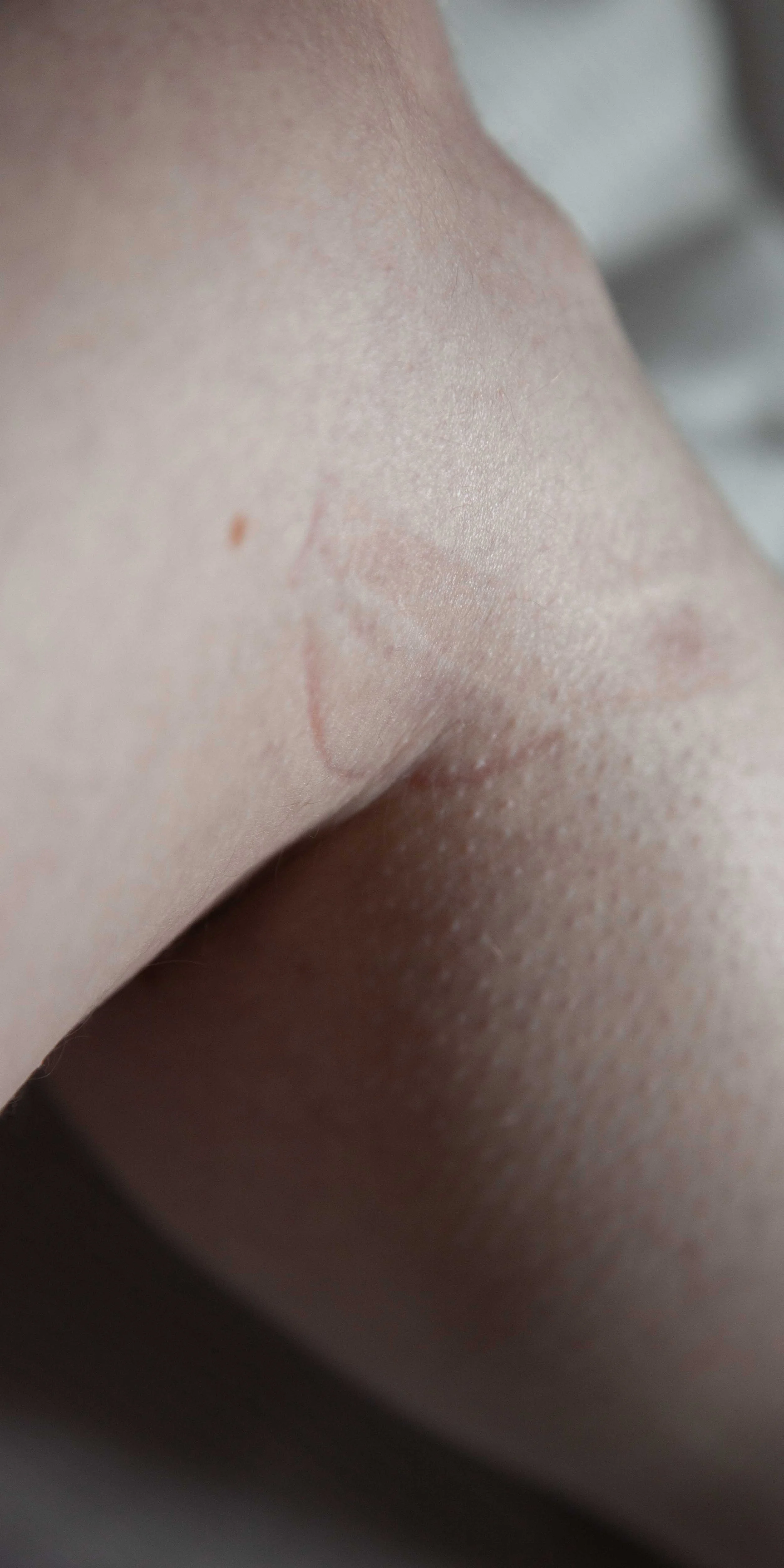 adj. young, inexperienced